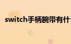 switch手柄腕带有什么用（腕带有什么用）