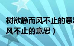 树欲静而风不止的意思是什么生肖（树欲静而风不止的意思）