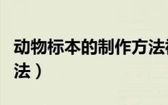 动物标本的制作方法视频（动物标本的制作方法）