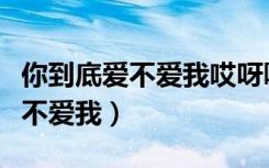 你到底爱不爱我哎呀咿呀是什么歌（你到底爱不爱我）