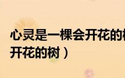 心灵是一棵会开花的树中心句（心灵是一棵会开花的树）