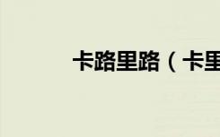 卡路里路（卡里路食物热量表）