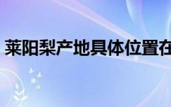 莱阳梨产地具体位置在哪个村（莱阳梨产地）