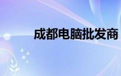 成都电脑批发商（成都电脑报价）