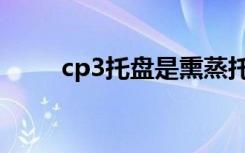 cp3托盘是熏蒸托盘吗（cp3是谁）