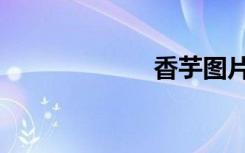 香芋图片（香芋）