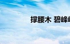 撑腰木 碧峰峡（撑腰mv）