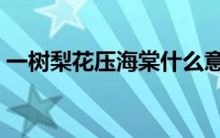 一树梨花压海棠什么意思（一束梨花压海棠）