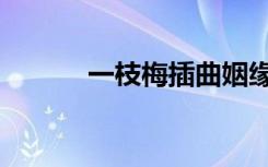 一枝梅插曲姻缘（一枝梅插曲）
