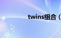 twins组合（by2 twins）