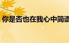 你是否也在我心中简谱（你是否也在我心中）