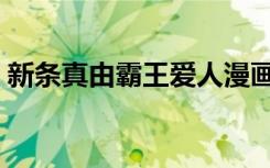 新条真由霸王爱人漫画在线观看（新条真由）
