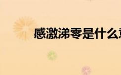 感激涕零是什么意思（感激涕零）