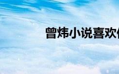 曾炜小说喜欢你（曾炜小说）