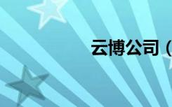 云博公司（云博信息）