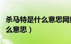 杀马特是什么意思网络用语（骂人杀马特是什么意思）