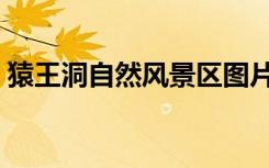 猿王洞自然风景区图片（猿王洞自然风景区）