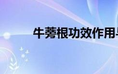 牛蒡根功效作用与主治（牛蒡根）