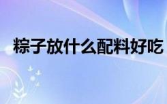 粽子放什么配料好吃（粽子的材料有哪些）