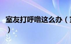 室友打呼噜这么办（室友打呼噜睡不着怎么办）