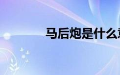 马后炮是什么意思（马后炮）