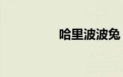 哈里波波兔（哈里波波）