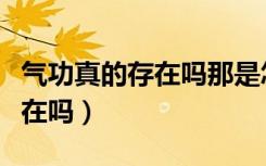 气功真的存在吗那是怎么做到的（气功真的存在吗）