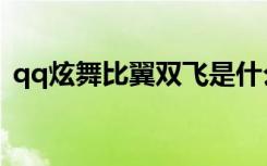qq炫舞比翼双飞是什么（qq炫舞比翼双飞）