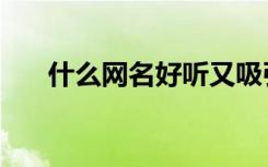 什么网名好听又吸引人（什么网名好）