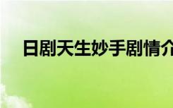 日剧天生妙手剧情介绍（日剧天生妙手）