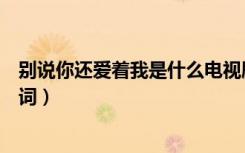 别说你还爱着我是什么电视剧里面歌曲（别说你还爱着我歌词）