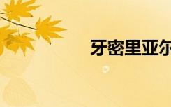 牙密里亚尔戈（牙密）