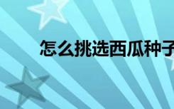 怎么挑选西瓜种子（怎么挑选西瓜）