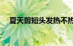 夏天剪短头发热不热（夏天剪短发热吗）