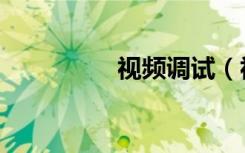 视频调试（视频调节器）