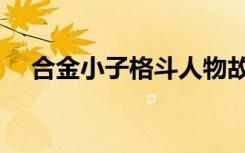 合金小子格斗人物故事（合金小子格斗）