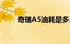 奇瑞A5油耗是多少（奇瑞a5油耗）