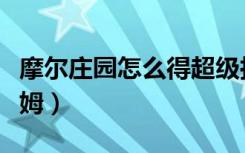 摩尔庄园怎么得超级拉姆（摩尔庄园刷超级拉姆）