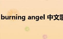 burning angel 中文歌词（burning angel）