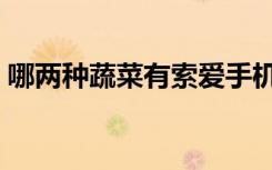 哪两种蔬菜有索爱手机（哪两种蔬菜有手机）
