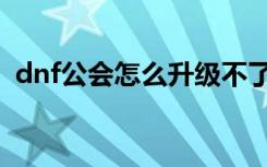 dnf公会怎么升级不了（dnf公会怎么升级）