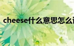 cheese什么意思怎么读（cheese什么意思）