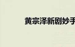 黄宗泽新剧妙手（黄宗泽新剧）