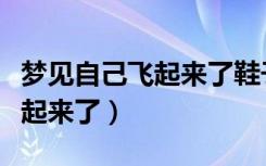 梦见自己飞起来了鞋子掉了一个（梦见自己飞起来了）