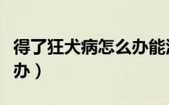 得了狂犬病怎么办能活多久（得了狂犬病怎么办）