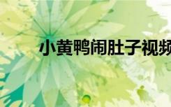 小黄鸭闹肚子视频（小黄鸭闹肚子）
