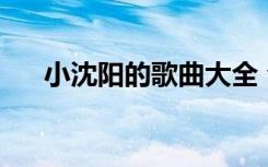 小沈阳的歌曲大全 合唱（小沈阳的歌）
