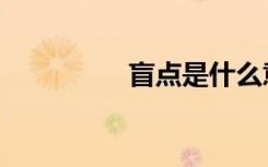 盲点是什么意思（盲点）