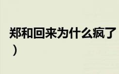 郑和回来为什么疯了（郑和下西洋的历史意义）
