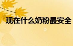 现在什么奶粉最安全（现在什么奶粉安全）